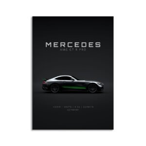 Digital Download - Set 1 - 1029 Mercedes-Benz AMG GT-R PRO 2020
