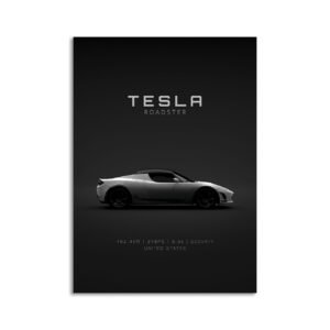 Digital Download - Set 4 - 1246 2011 Tesla Roadster Sport - White