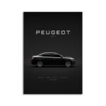 Digital Download - 2013 Peugeot 301