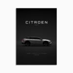 Digital Download - Citroen C5 X 2022 - White