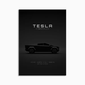 Digital Download - Set 17 - 1721 Tesla Cybertruck