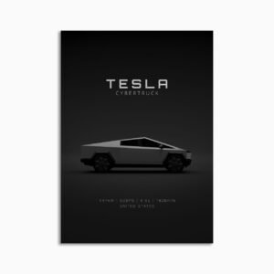 Digital Download - Set 17 - 1721 Tesla cybertruck Silver