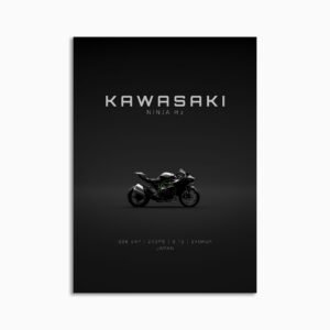 Digital Download - Set 19 - 1789 Kawasaki Ninja H2