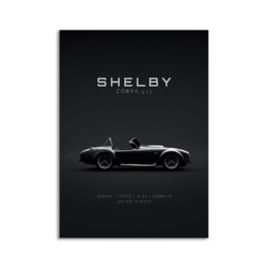 Digital Download - Set 11 - 872 1965 Shelby Cobra 427 S-C