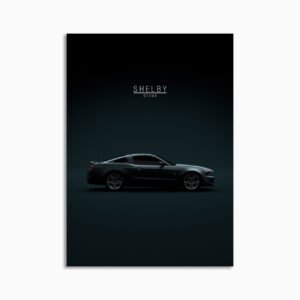 Digital Download - Set 15 - 1021 2010 Ford GT500