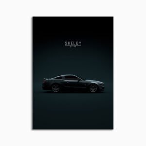 Digital Download - Set 15 - 1021 2010 Ford Shelby GT500