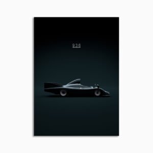 Digital Download - Set 19 - 1298 Porsche 936 1977 LM24