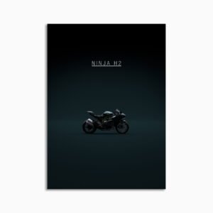 Digital Download - Set 25 - 1789 Kawasaki Ninja H2