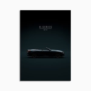 Digital Download - Set 06 - 608 2021 BMW 8 Series AWD M850i Convertible