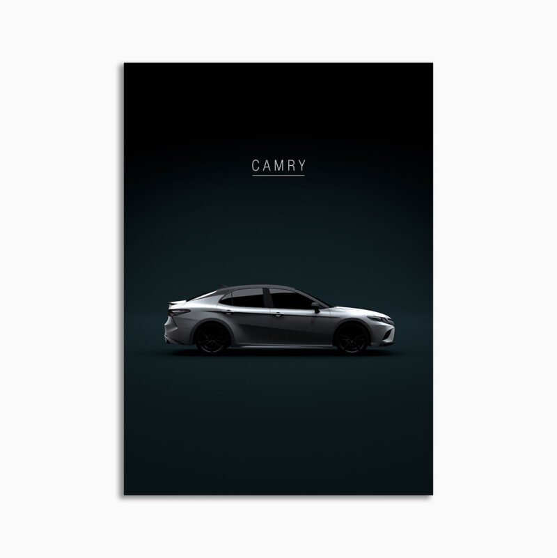 630-Toyota-Camry-WS-XSE-'18_two-tones-Displate