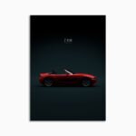 Digital Download - 2008 BMW Z4 M Roadster