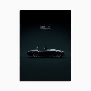 Digital Download - Set 12 - 872 1965 Shelby Cobra 427 S-C