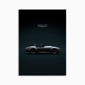 Digital Download - Set 12 - 872 1965 Shelby Cobra 427 S-C - Grey