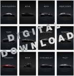 Digital Download - Set 20