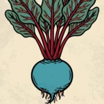 A retro-style vintage botanical illustration of a fresh beetroot with a unique blue root body, vibrant red stems, and green leaves. The word FRESH is written in bold white typography within a black block at the bottom against a textured cream backdrop.