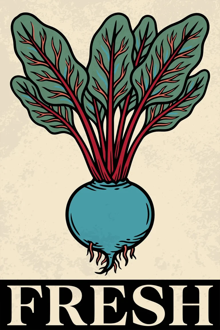 A retro-style vintage botanical illustration of a fresh beetroot with a unique blue root body, vibrant red stems, and green leaves. The word FRESH is written in bold white typography within a black block at the bottom against a textured cream backdrop.