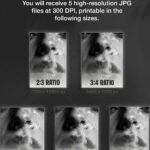 black and white smoke art | dramatic monochrome portrait
